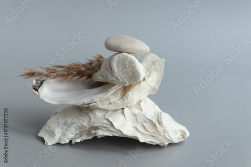 Natural seashells and dry grass composition on grey background