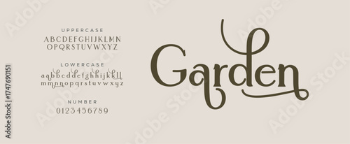 Elegant Font Uppercase Lowercase and Number. Classic Lettering Minimal Fashion Designs. Typography fonts regular decorative vintage concept. vector illustration
