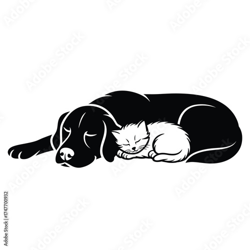 Black dog sleeping peacefully with a small white kitten curled up