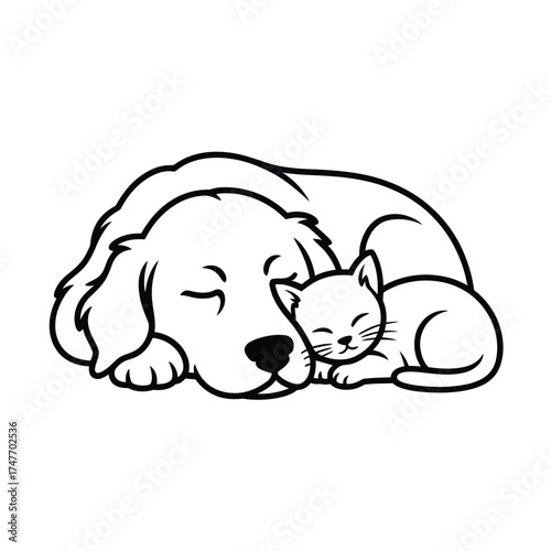 Cute dog and cat sleeping peacefully together in a warm embrace