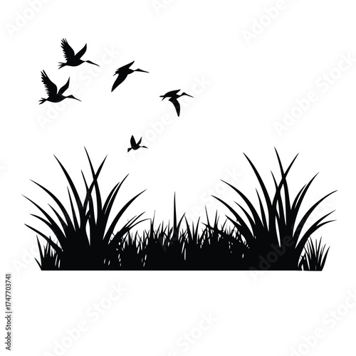 Solid Black Silhouette of Egrets Flying Over a Rice Field