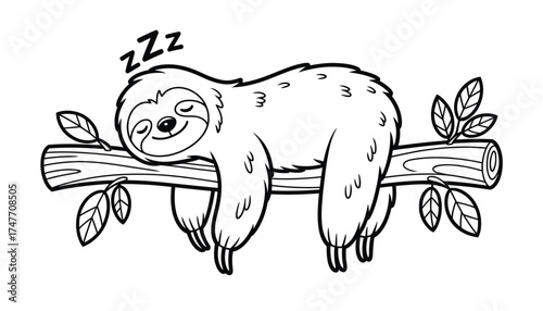Charming black and white vector illustration of a sleeping sloth hanging on a branch vector