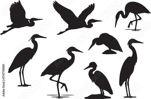 heron silhouettes showcases the birds in various activities such as flying, fishing, and resting