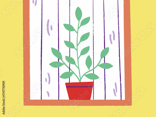 plant