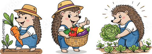 Cartoon hedgehog gardening, vegetable harvest, cute animal farmer, farming illustration, healthy food, nature art, children’s vector, white background