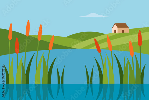 Cattails on water with house in the distance view