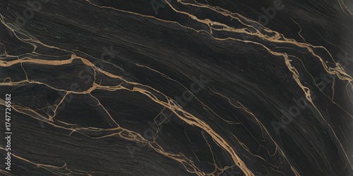 Luxurious Black Marble with Golden Veins Texture.