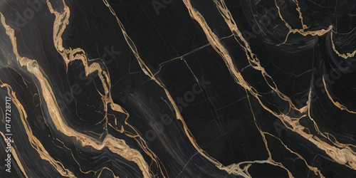 Luxurious Black Marble with Golden Veins Texture.