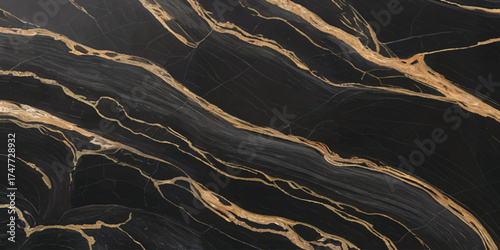 Luxurious Black Marble with Golden Veins Texture.