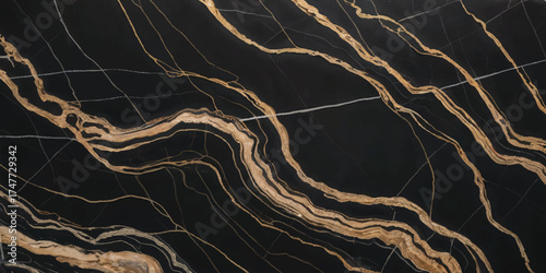 Luxurious Black Marble with Golden Veins Texture.
