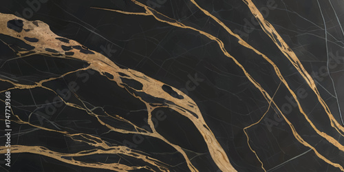 Luxurious Black Marble with Golden Veins Texture.