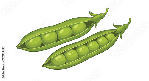 Two fresh green pea pods are lying on a white background.