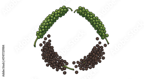 Fresh green peppercorns and dried black pepper seeds forming a circle.