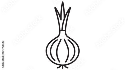 Simple line drawing of a fresh onion with green sprouts on a white background