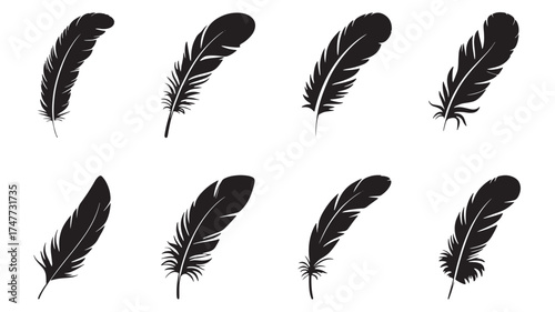 Collection of diverse black feathers with delicate details against a white background