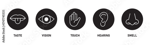 Human sense icons. Five human senses icons. Vision smell hearing touch taste senses fillings. Five fillings icons. Vector Illustration. Vector Graphic. 