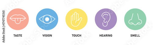 Human sense icons. Five human senses icons. Vision smell hearing touch taste senses fillings. Five fillings icons. Vector Illustration. Vector Graphic.
