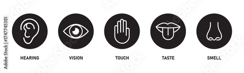 Human sense icons. Five human senses icons. Vision smell hearing touch taste senses fillings. Five fillings icons. Vector Illustration. Vector Graphic.