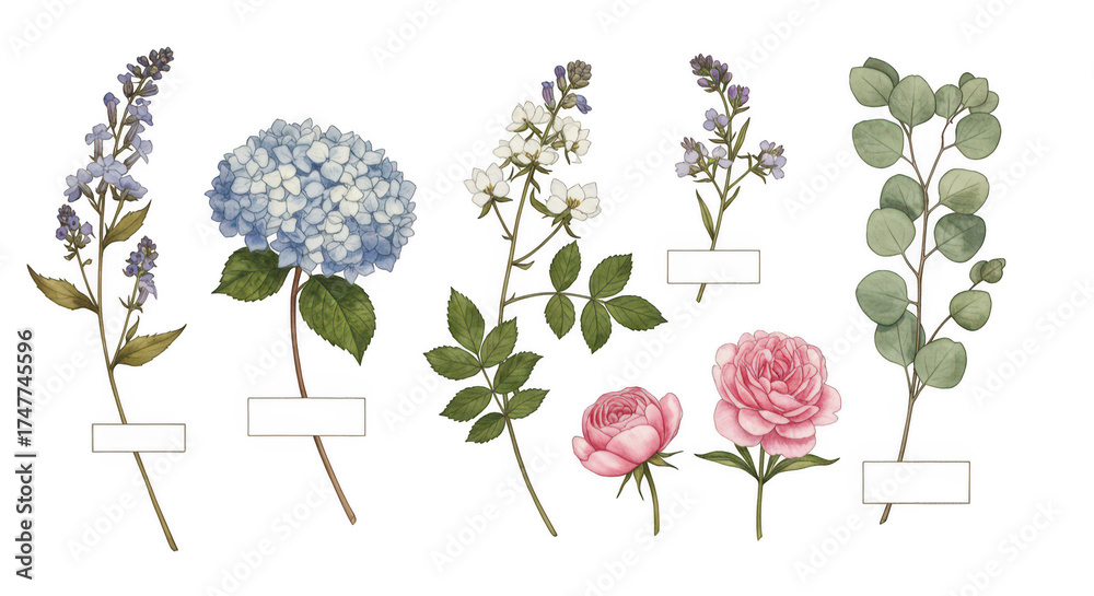 Fototapeta premium Floral Assortment of Delicacy: A botanical collection showcasing an array of delicate blooms, each rendered with intricate detail, celebrates the timeless beauty of floral design.