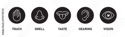 Five human senses editable stroke outline icons set. Flat vector illustration of human senses including ear, eye, nose, lips, and hand in minimalist design style. Five senses of human nervous system.