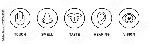 Five human senses editable stroke outline icons set. Flat vector illustration of human senses including ear, eye, nose, lips, and hand in minimalist design style. Five senses of human nervous system.
