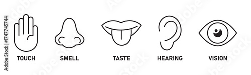 Five human senses editable stroke outline icons set. Flat vector illustration of human senses including ear, eye, nose, lips, and hand in minimalist design style. Five senses of human nervous system.