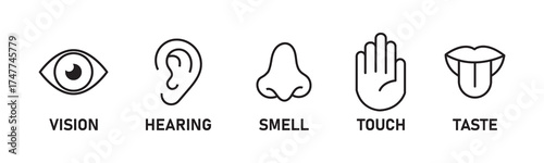 Five human senses editable stroke outline icons set. Flat vector illustration of human senses including ear, eye, nose, lips, and hand in minimalist design style. Five senses of human nervous system.