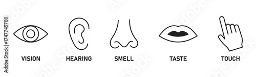 Human senses icon set. Vision eye, smell nose, hearing ear, touch hand, taste mouth with tongue. Simple line icons in circle. Five senses of human nervous system. set of five senses icon.