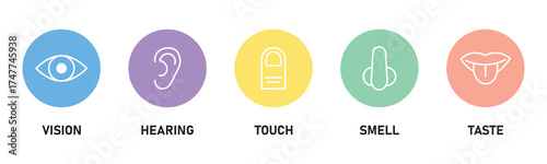 Five human senses editable stroke outline icons set. Flat vector illustration of human senses including ear, eye, nose, lips, and hand in minimalist design style. Five senses of human nervous system