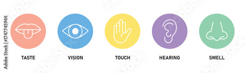 Human senses icon set. Five human senses icons isolated on transparent background. Vision, smell, hearing, touch and taste senses filling sign. Five senses of human nervous system. Vector illustration