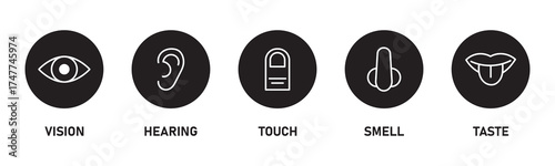 Human senses icon set. Five human senses icons isolated on transparent background. Vision, smell, hearing, touch and taste senses filling sign. Five senses of human nervous system. Vector illustration