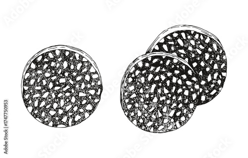 Sliced salami sausage hand drawn vector