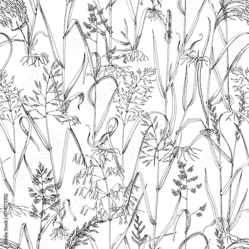 Wild grasses seamless pattern vector
