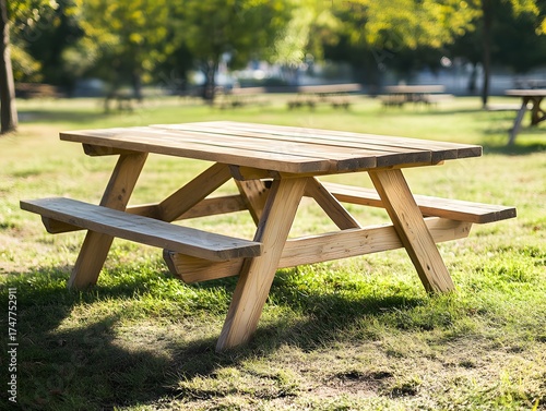 Rustic Wooden Picnic Table in Sunny Park Setting