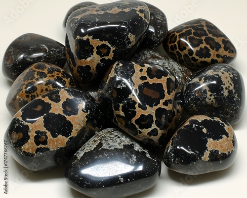 Stunning Leopard Skin Jasper Tumbled Stones Collection