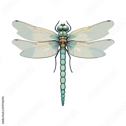 Dragonfly