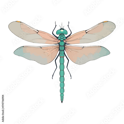 Dragonfly