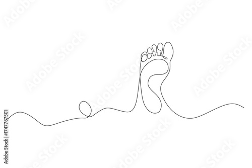 Elegant feminine woman feet continous line style.