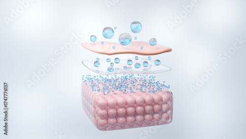 Multi Size Hyaluronic Acid Molecules Drop on Skin, 3D Illustration