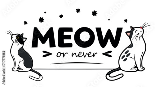 black cat with white banner