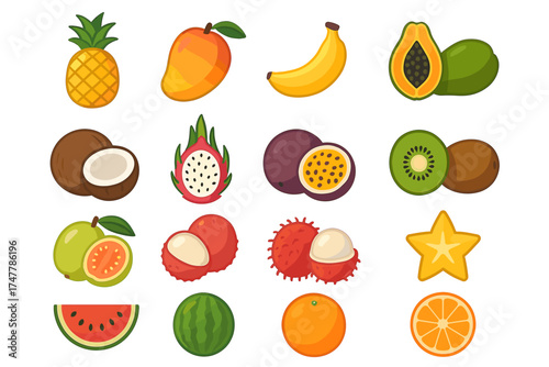 Collection of colorful and exotic fruits vector icons