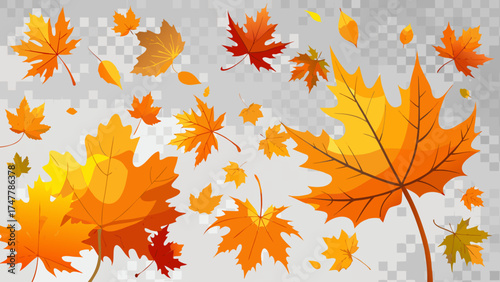 Vector art of autumn leaves collection of different shapes and colors