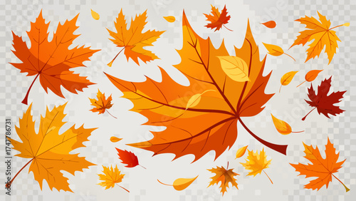 Vector art of autumn leaves falling, colorful foliage floating in the air on transparent background
