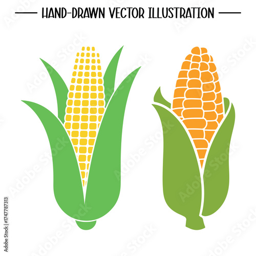 set of corn cobs