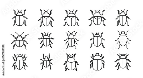 Collection of hand-drawn beetle insects detailed sketches unique designs for artistic projects vector