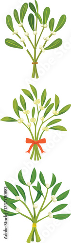 A stylized vector mistletoe branch, single subject..eps