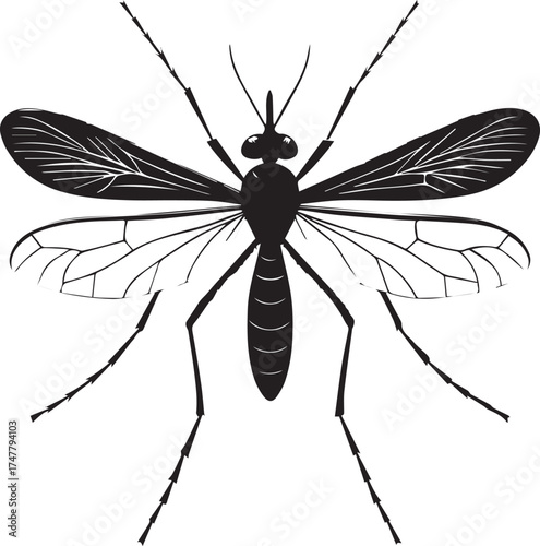 mosquito vector illustration with insect silhouette