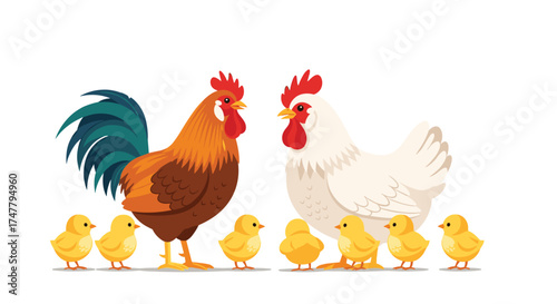 A proud rooster and a fluffy hen with their adorable baby chicks on a white background.