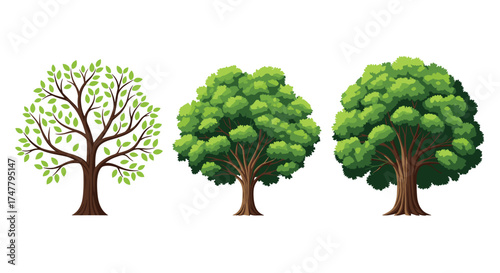 A collection of diverse trees representing different stages of growth and leaf density.