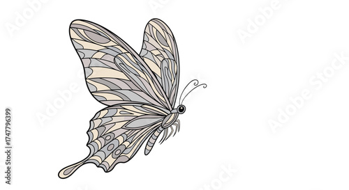 A detailed illustration of a delicate butterfly with intricate wing patterns in flight.